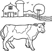 mucca nella fattoria