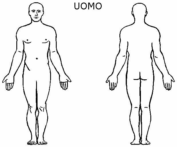 Disegni Per Bambini Corpo Umano Fare Di Una Mosca