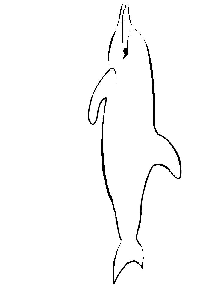 Delfini disegni per bambini da colorare for Disegni pesci da colorare e stampare per bambini
