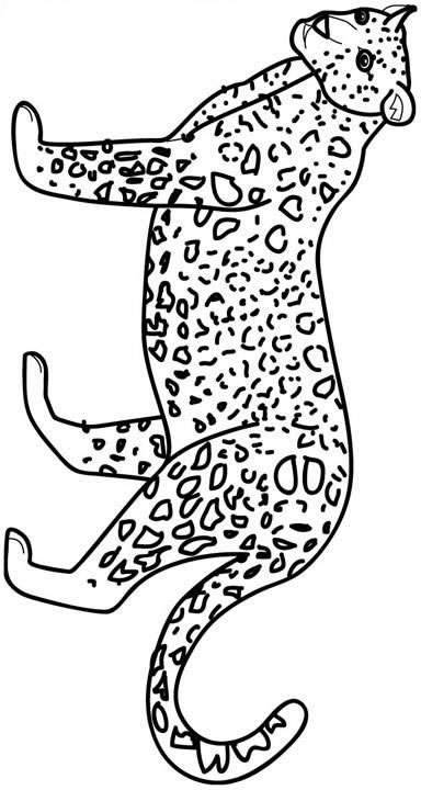 Felini disegni per bambini da colorare for Disegni pesci da colorare e stampare per bambini