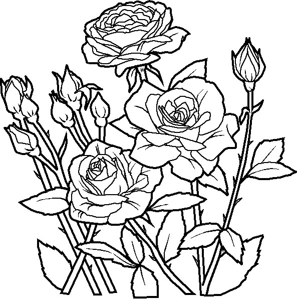zelfs coloring pages - photo #45