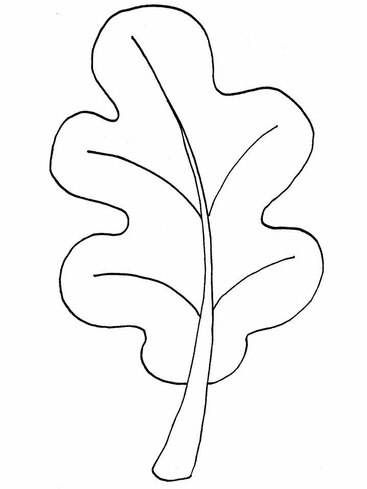 oak leaf with acorns coloring pages - photo #34