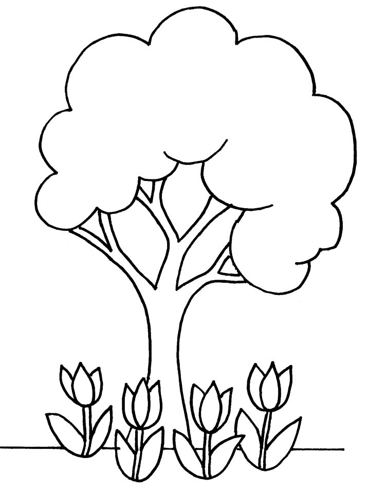 Alberi Disegni Per Bambini Da Colorare