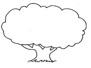 ALBERO DA DISEGNARE