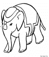 elefante