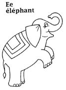 ELEFANTE 2