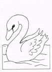 CIGNO