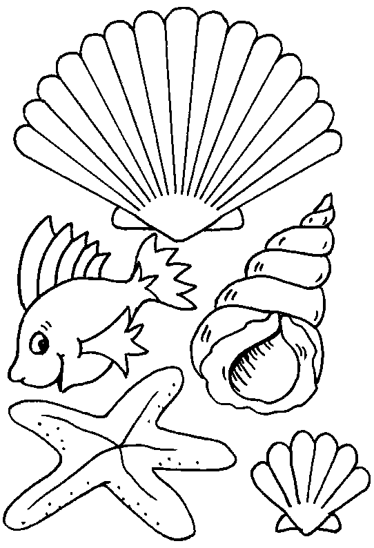 Conchiglie disegni per bambini da colorare for Disegni pesci da colorare e stampare per bambini