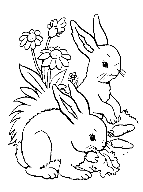 Conigli, Disegni per bambini da colorare