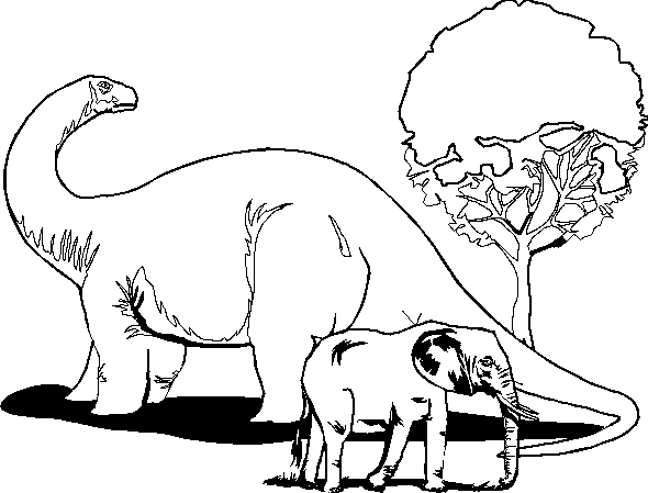 Dinosauri Disegni Per Bambini Da Colorare