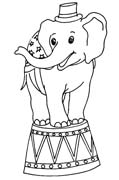 ELEFANTE 1