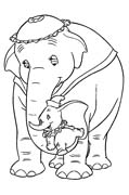 ELEFANTE 4