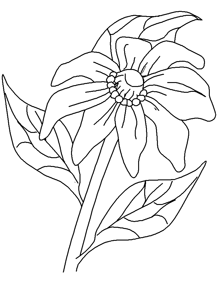 Fiori 14, Disegni per bambini da colorare