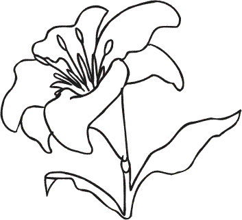 Disegni Fiori / Disegni Fiori Su Unghie - Pin di Klára hofíková su Nehty ... / Télécharger disegni fiori di carta 2021 gratuites.