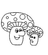 DUE FUNGHI