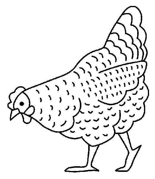 Galline Disegni Per Bambini Da Colorare