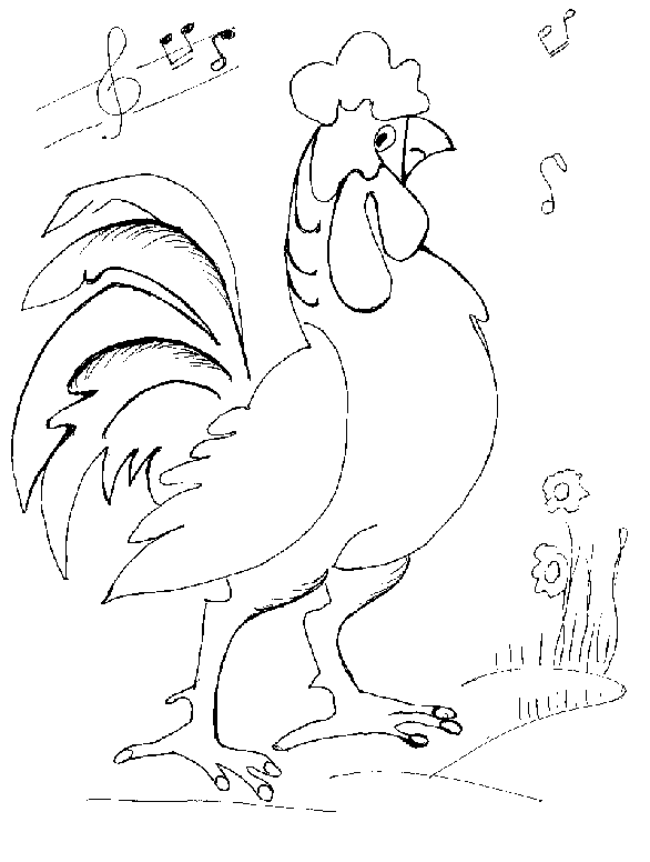 Galline 3 Disegni Per Bambini Da Colorare