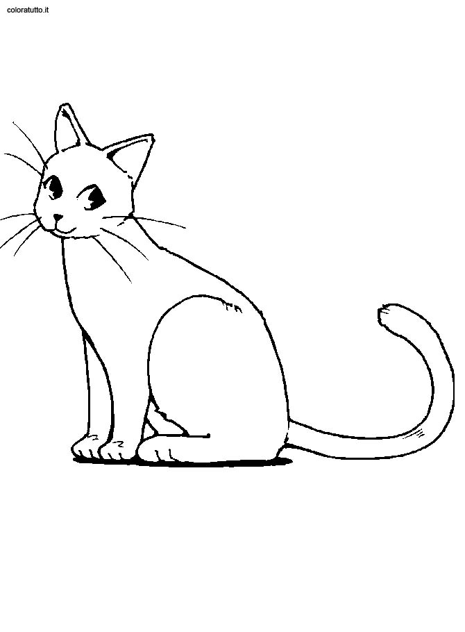 Disegni Da Stampare Di Gatti Gatti Disegni Da Colorare E Da Stampare 