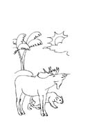 21-GENNAIO FARFALLA