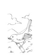 22-GENNAIO SERPENTE