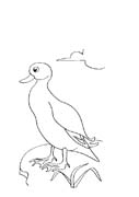 21-GENNAIO FARFALLA