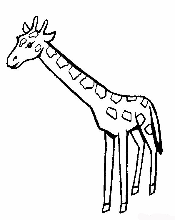 Giraffa Disegni Per Bambini Da Colorare