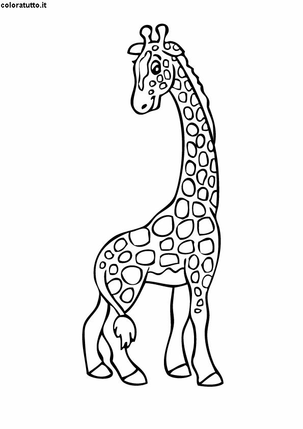 Giraffa Disegni Per Bambini Da Colorare