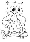 Gufi Disegni Per Bambini Da Colorare