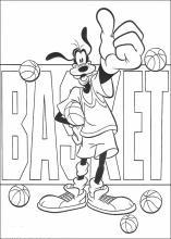 pippo basket