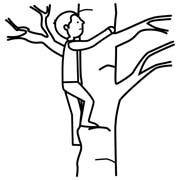 Pittogramma salire sull'albero