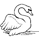 Cigno